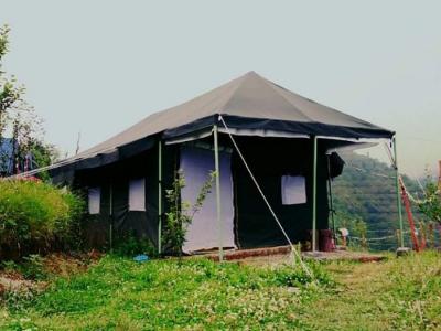 Swiss Camp